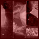 DiscContinuity Guide